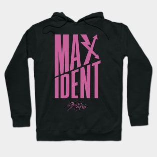 Maxidental Graphic (Pink) Hoodie